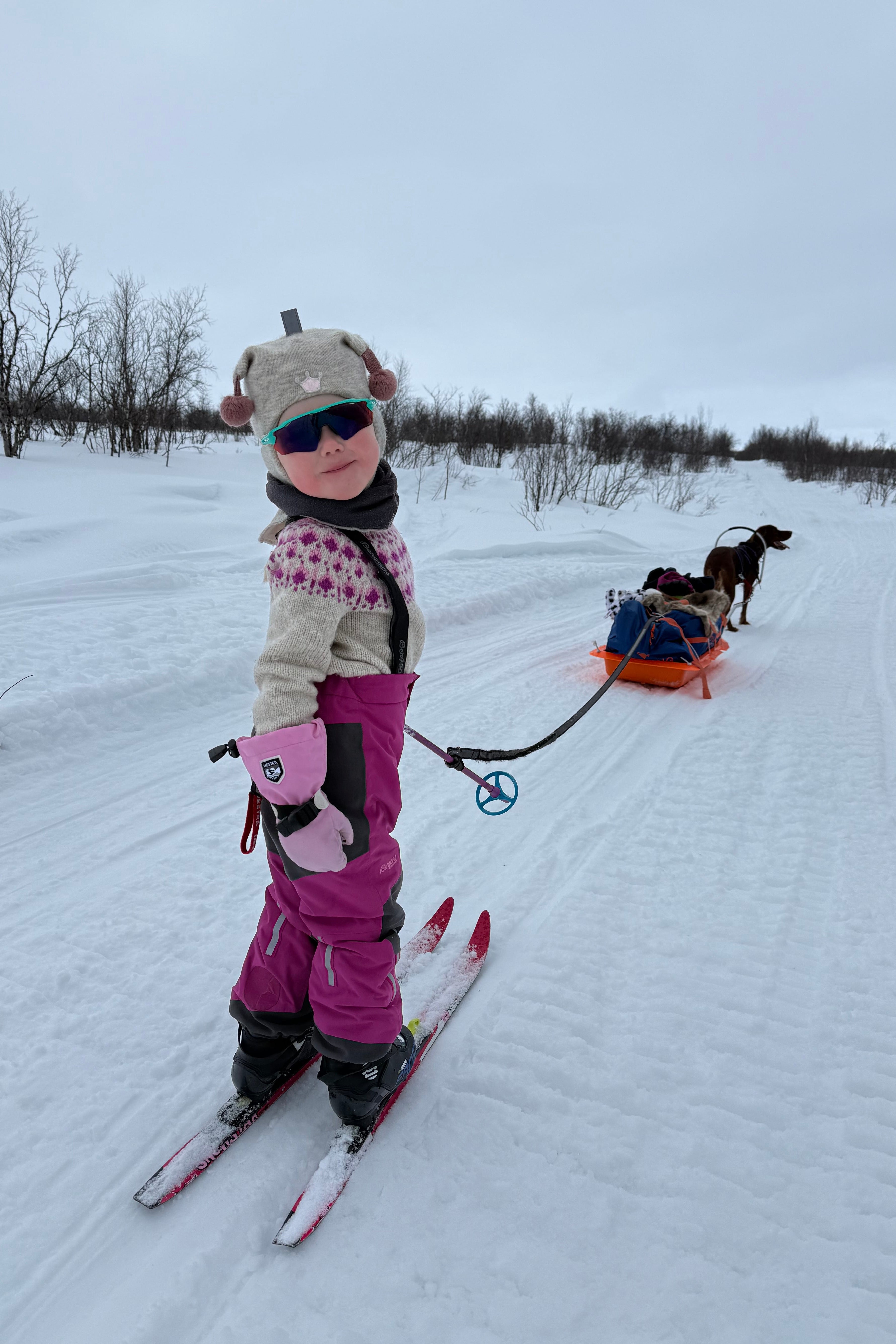 Raspberry Sweater Mini