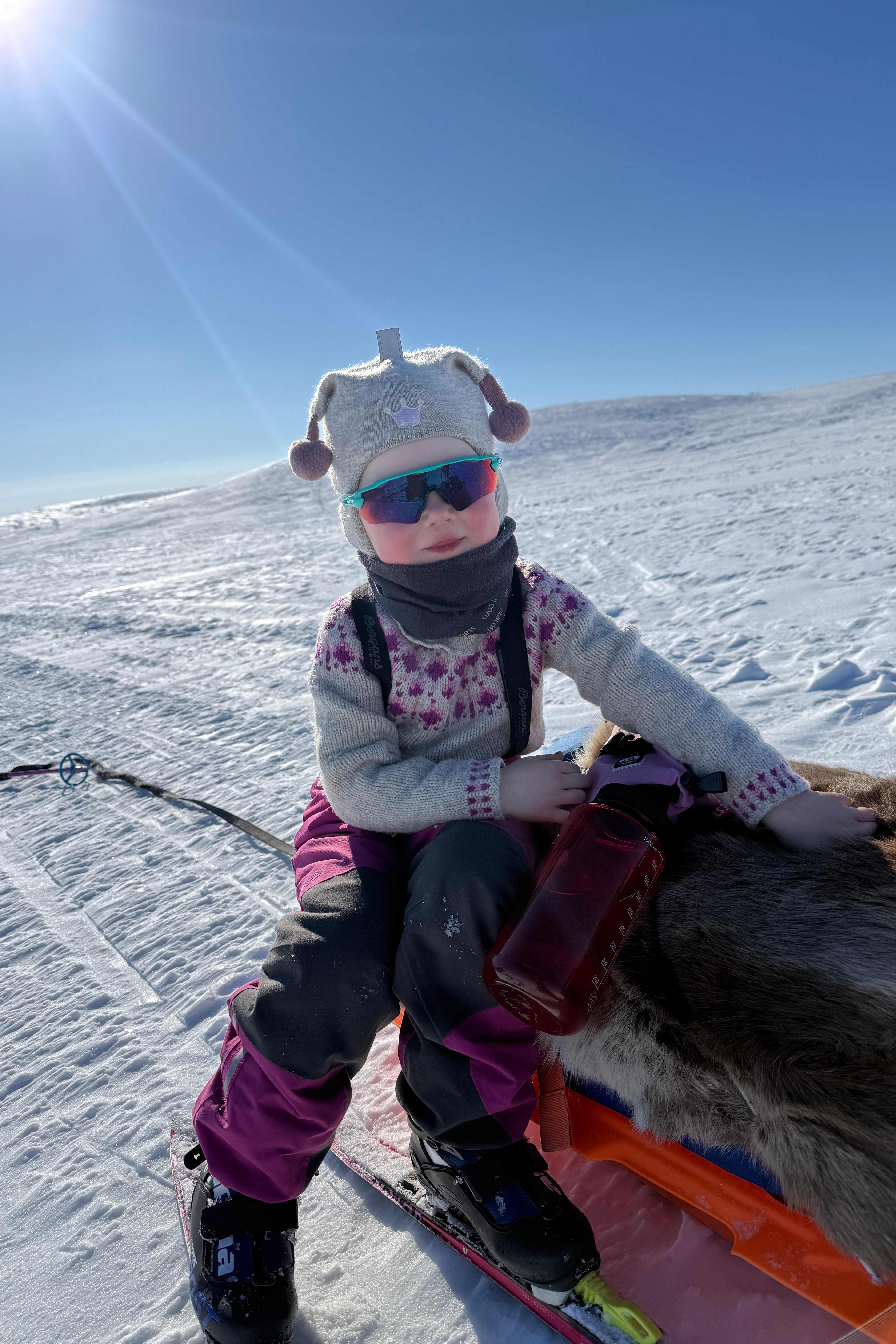 Raspberry Sweater Mini