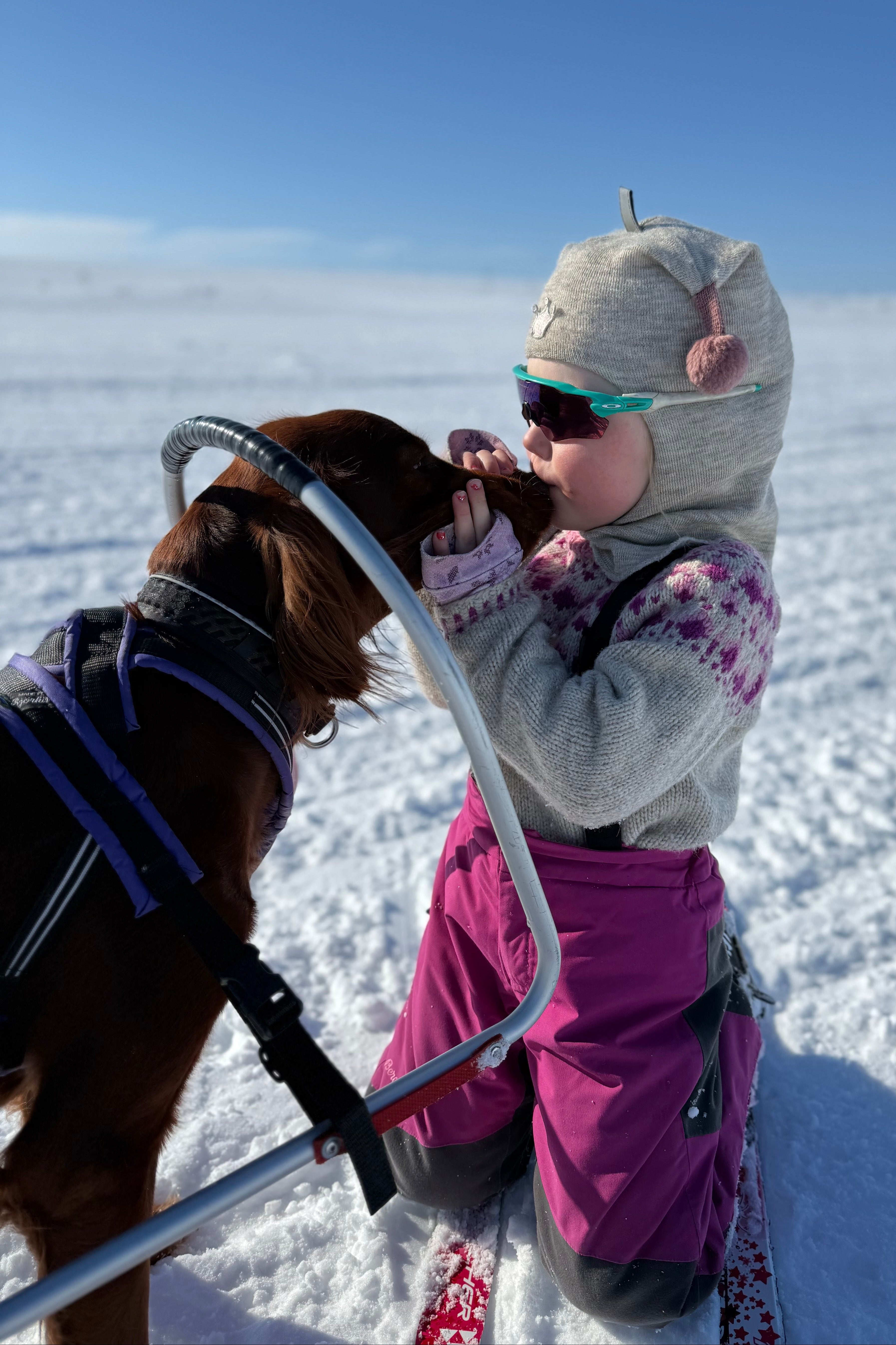Raspberry Sweater Mini