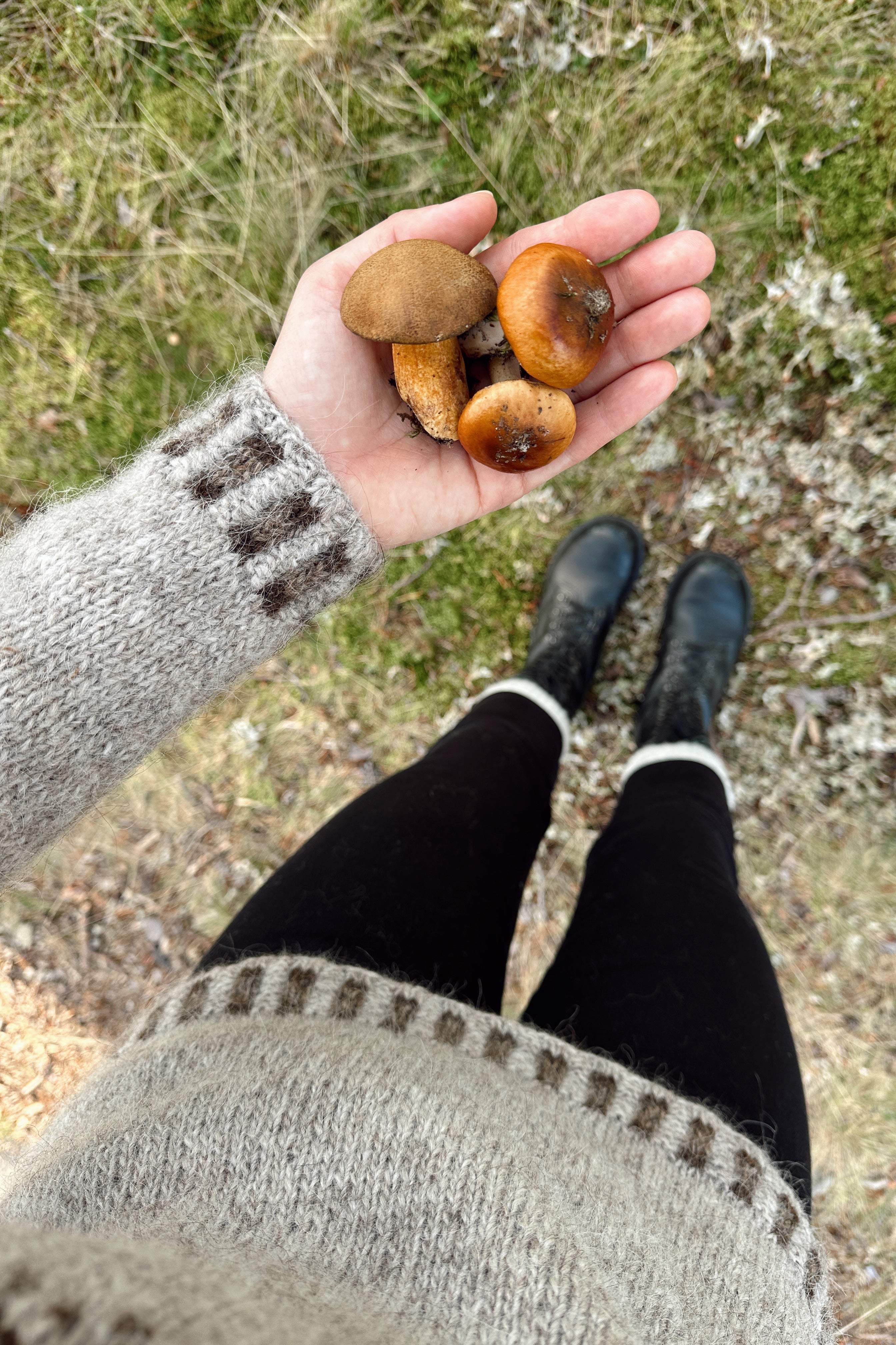 Acorn Sweater
