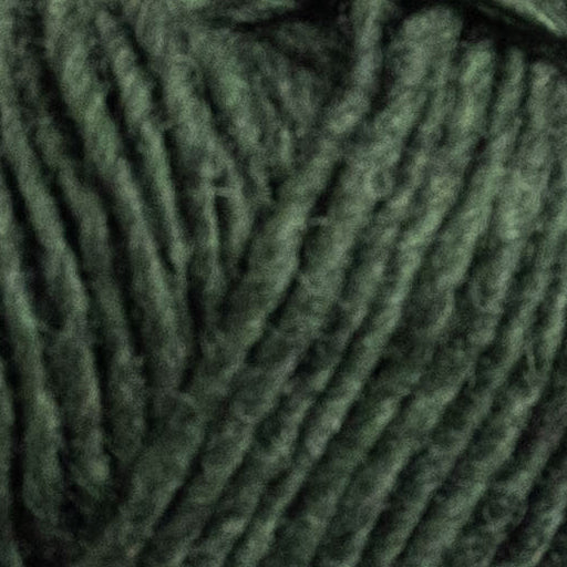 Álafoss Lopi - Garden Green 1231