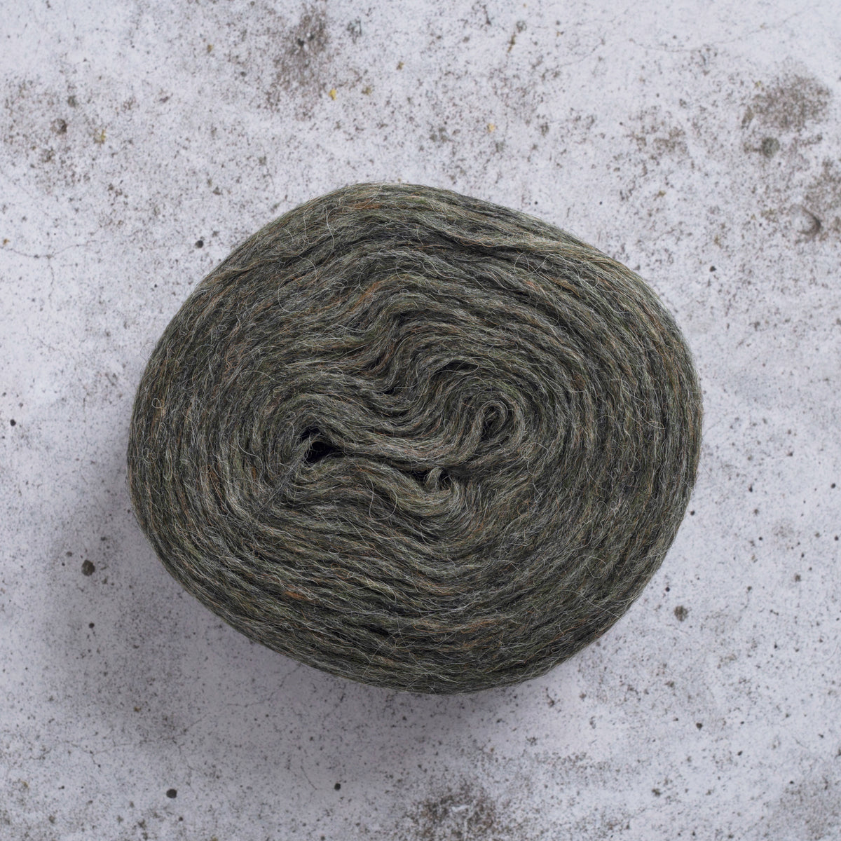 Plötulopi - Frost Grass 2021