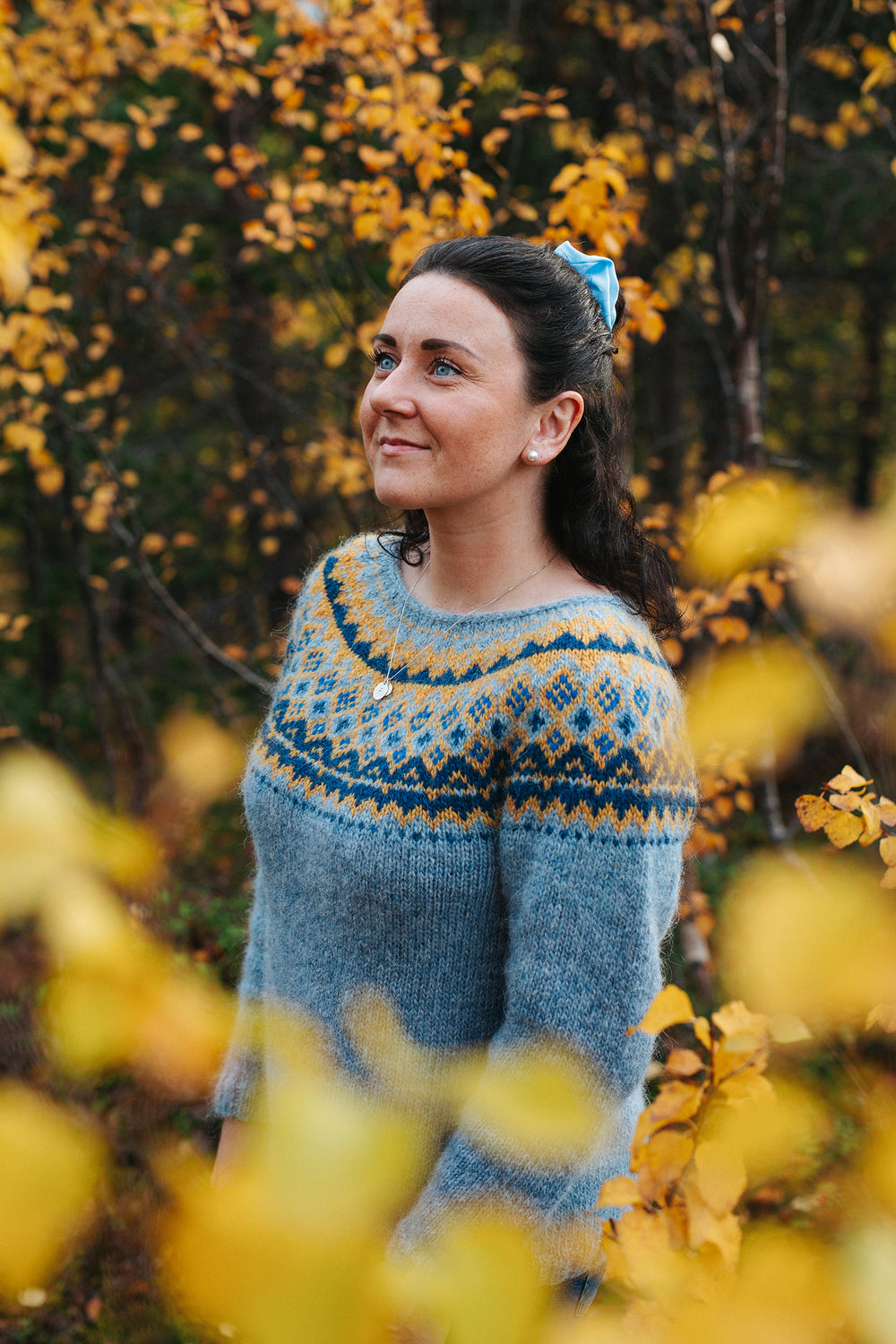 Knitting Pattern | Sweater | Alta IF | Léttlopi by Istex