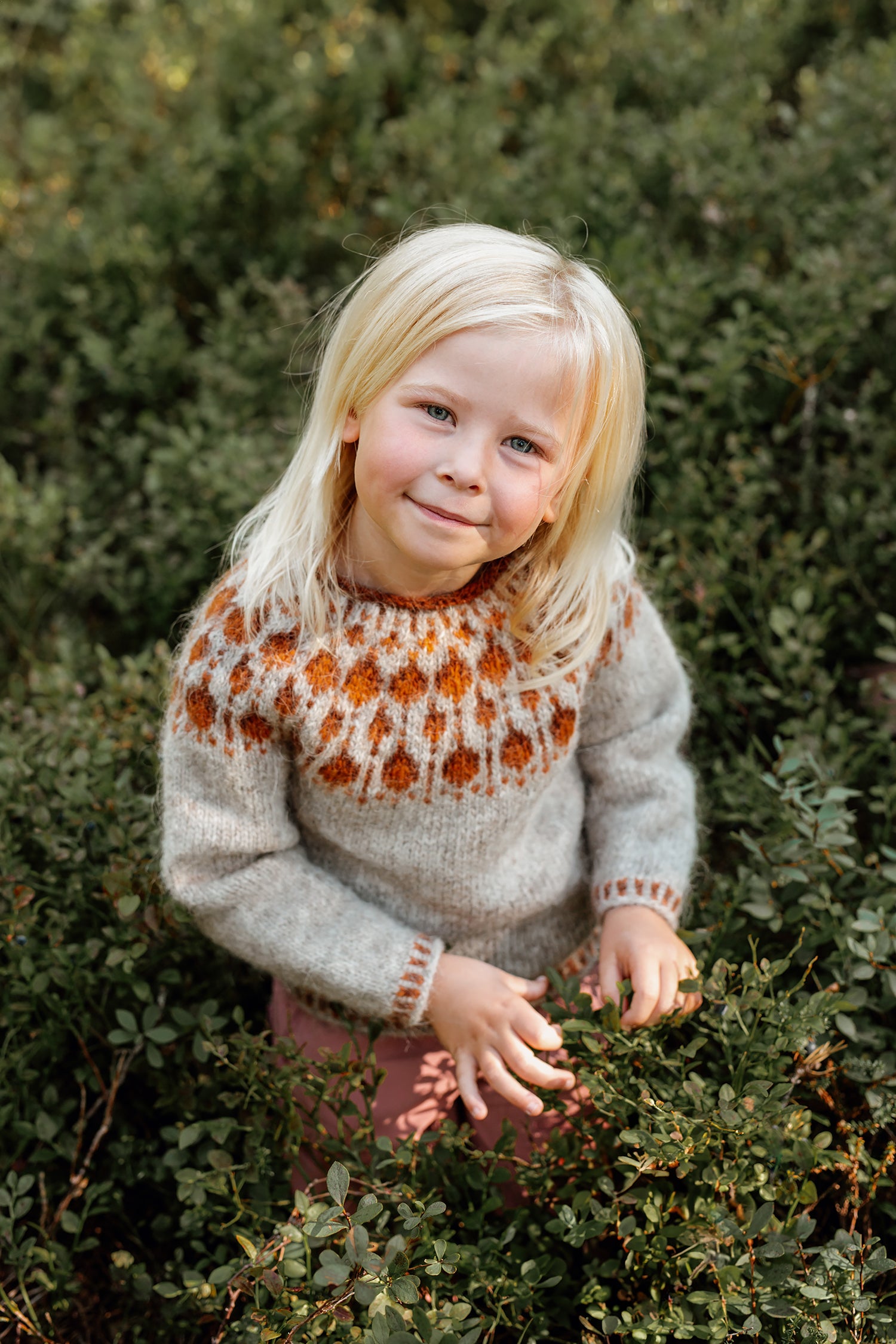 Cloudberry Sweater Mini