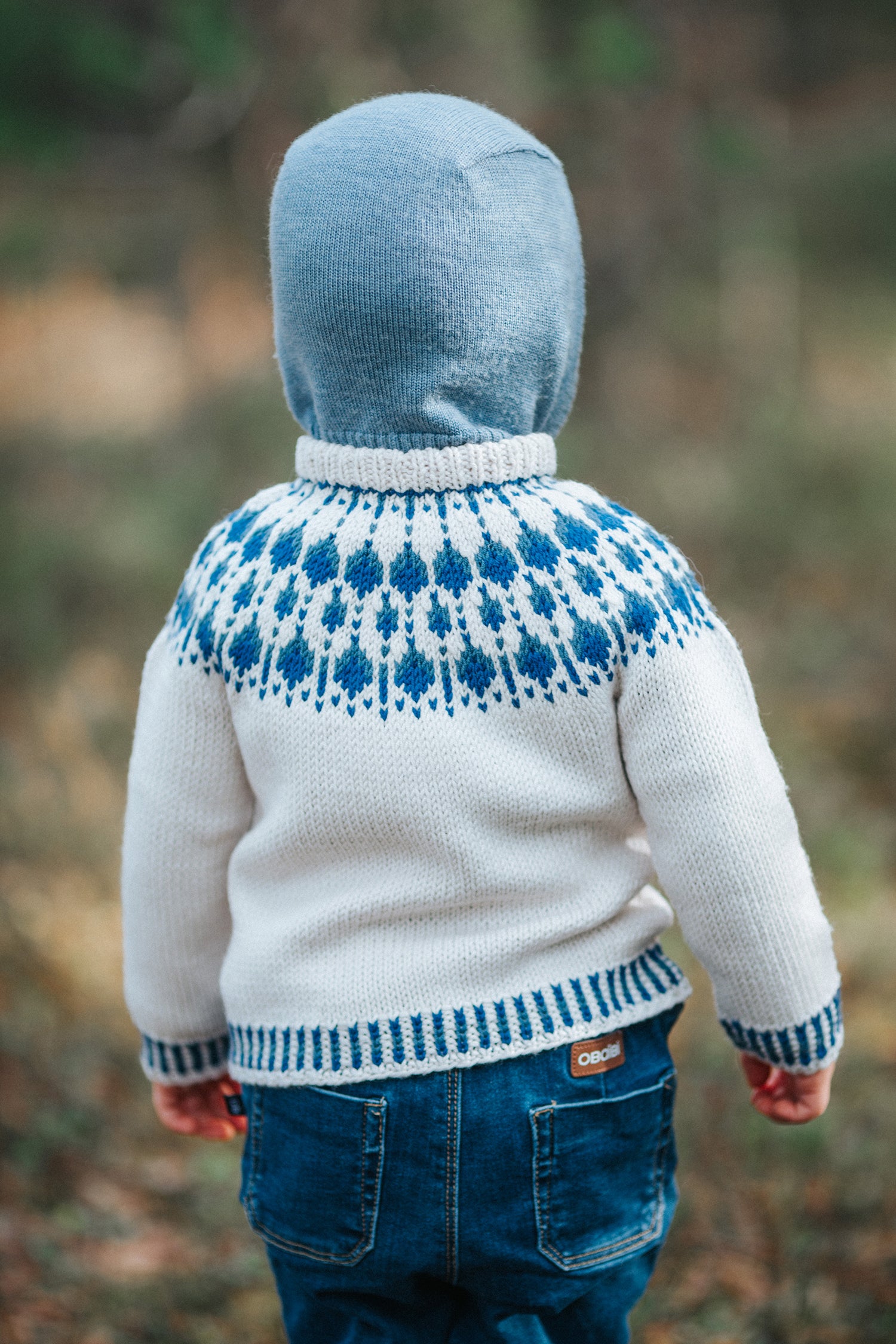 Blåbær Mini Merino Garnpakke · Sterk