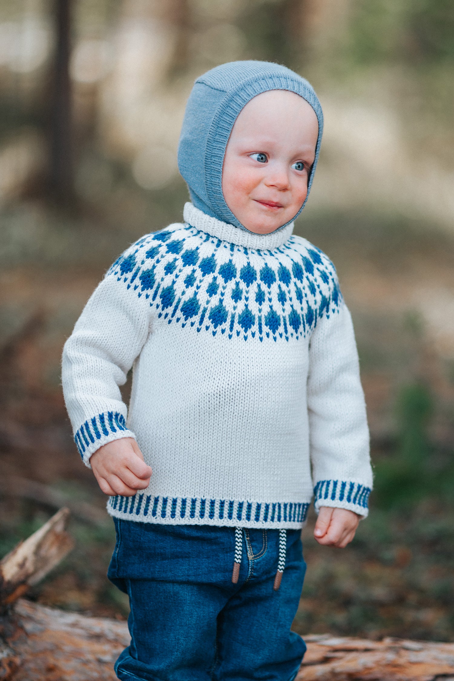 Blueberry Mini Merino