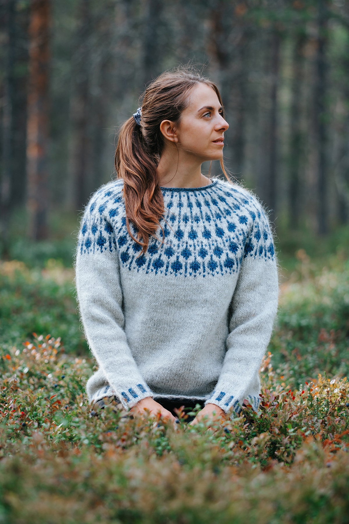 Blueberry Sweater Knitting kit · Léttlopi