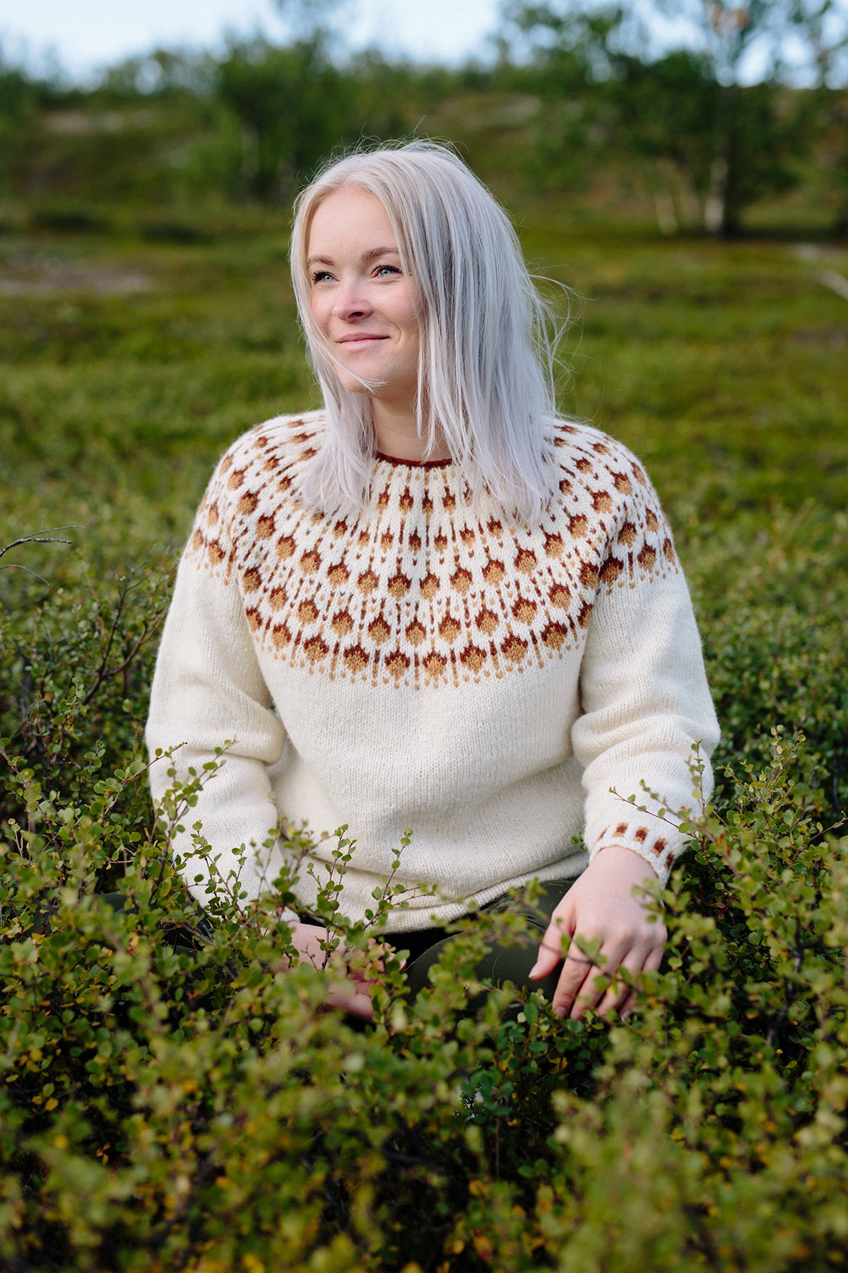 Cloudberry Sweater